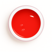 Poppy Bloom Builder Gel 30g