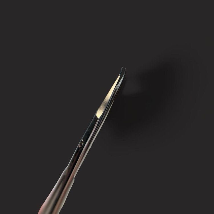 Scissors Expert 22/1